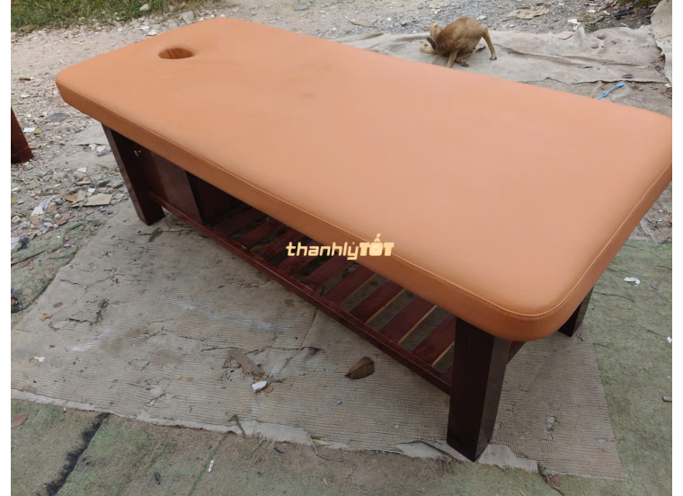 Giường Massage Trị Liệu Thanh Lý – Chắc Chắn, Êm Ái, Giá Tốt